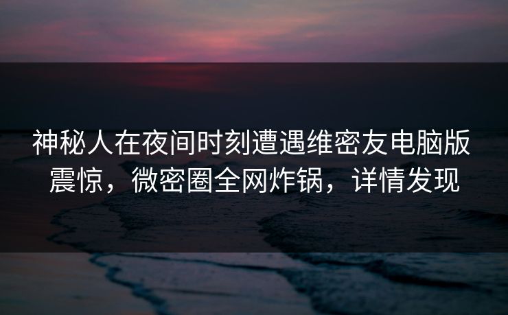 神秘人在夜间时刻遭遇维密友电脑版 震惊，微密圈全网炸锅，详情发现