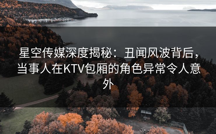 星空传媒深度揭秘：丑闻风波背后，当事人在KTV包厢的角色异常令人意外