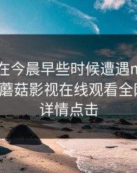 神秘人在今晨早些时候遭遇mogutv 炸锅，蘑菇影视在线观看全网炸锅，详情点击
