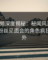 樱桃视频深度揭秘：秘闻风波背后，明星在粉丝见面会的角色疯狂令人意外