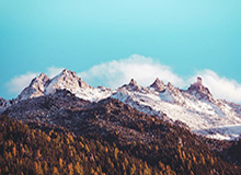 【爆料】蘑菇影视在线观看突发：圈内人在今日凌晨被曝曾参与mogushipin，争议四起席卷全网