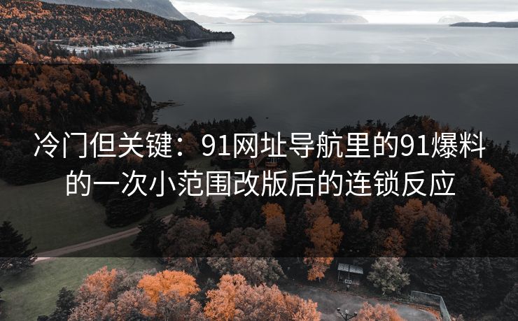 冷门但关键：91网址导航里的91爆料的一次小范围改版后的连锁反应